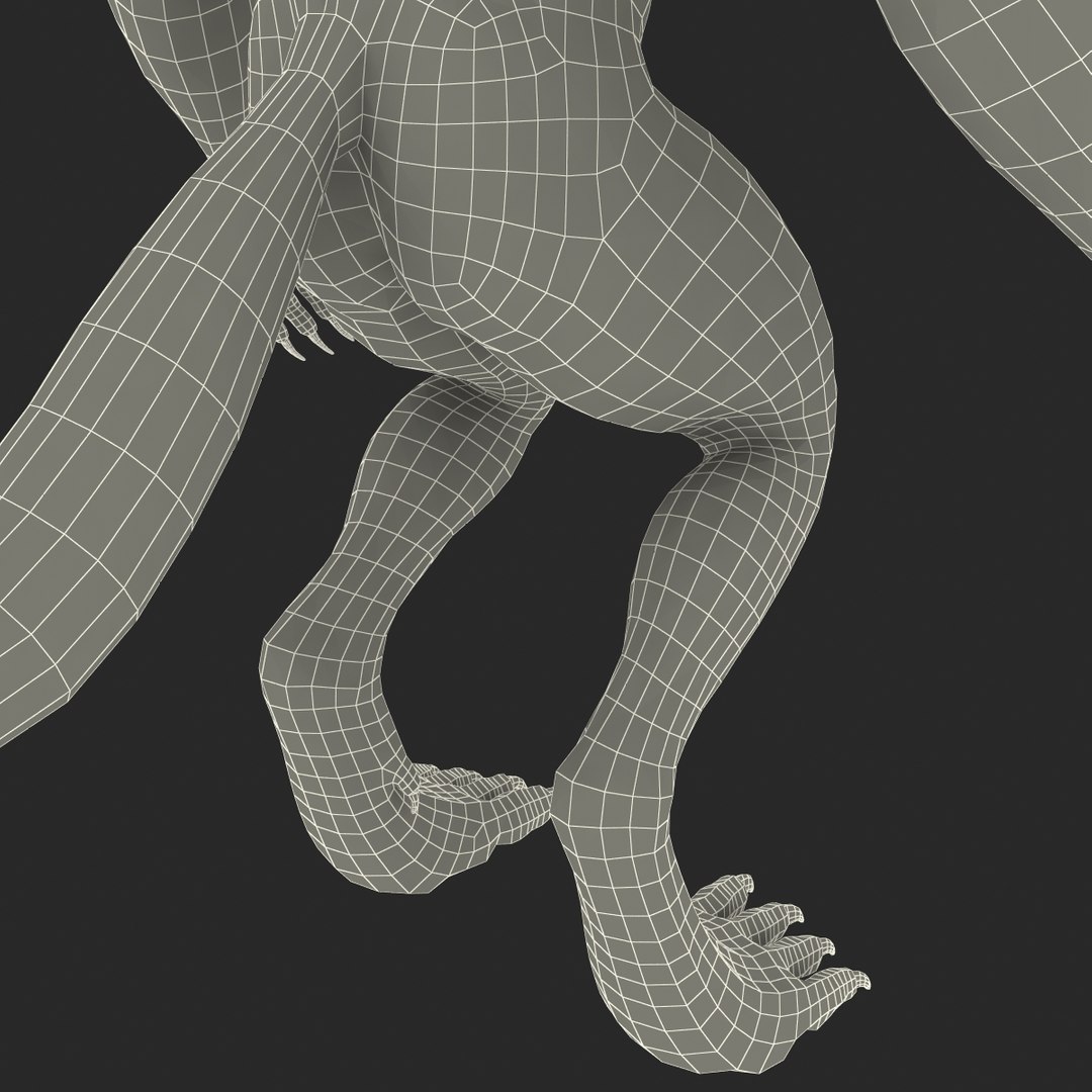 max werewolf wolf https://p.turbosquid.com/ts-thumb/F5/tloKPI/LbMJvSe1/werewolf_40/jpg/1414428559/1920x1080/fit_q87/449f40f3c2fe9c79d48792d9f0be51ac3c6b2de3/werewolf_40.jpg