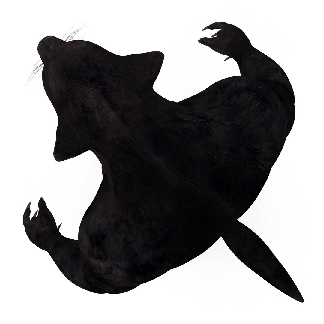 max werewolf wolf https://p.turbosquid.com/ts-thumb/F5/tloKPI/ZcjEqgey/werewolf_16/jpg/1414428584/1920x1080/fit_q87/02814641d771badc1eb210f4e5c15ec720ec28ff/werewolf_16.jpg