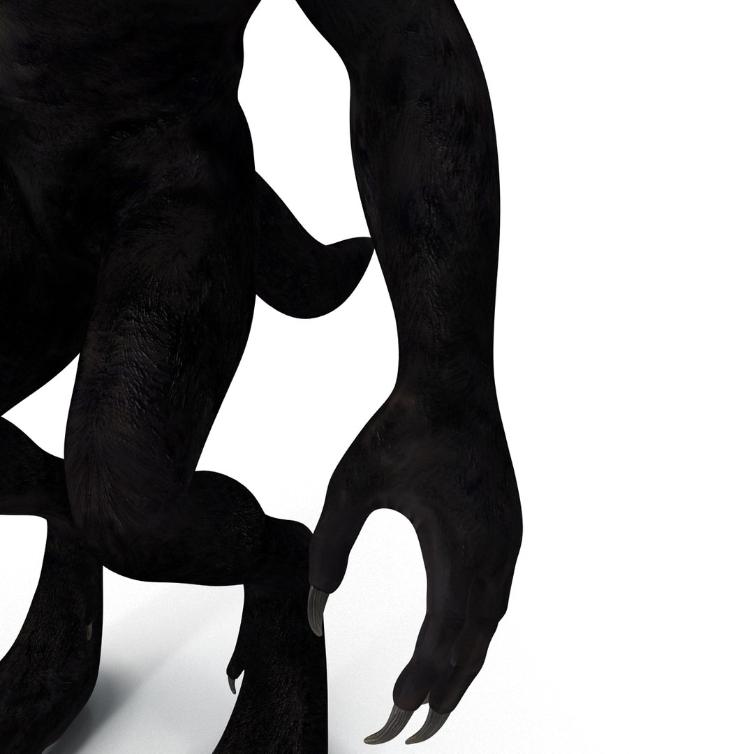 max werewolf wolf https://p.turbosquid.com/ts-thumb/F5/tloKPI/sEBtw7zC/werewolf_25/jpg/1414428524/1920x1080/fit_q87/ac8956c14d9468ee2f3ed5993c5fe812d0849ff8/werewolf_25.jpg