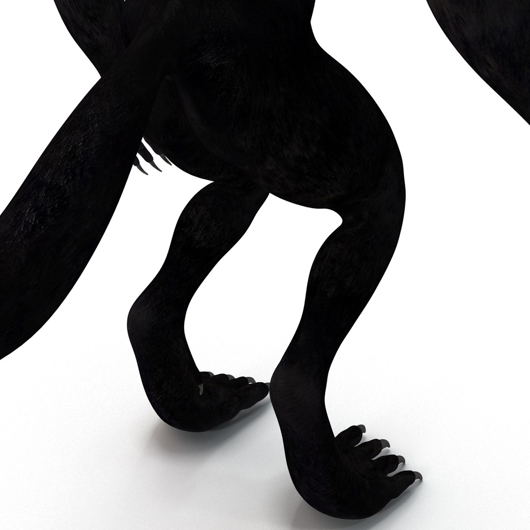 max werewolf wolf https://p.turbosquid.com/ts-thumb/F5/tloKPI/svBjatiy/werewolf_29/jpg/1414428617/1920x1080/fit_q87/47779a9b2fc989ee3bef8366017d0498481631aa/werewolf_29.jpg