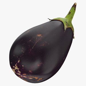 Italian Eggplant 02 3D model
