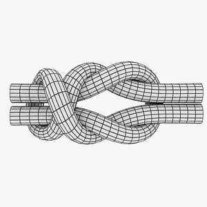 3D knot model