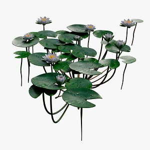 plants nature 3D model