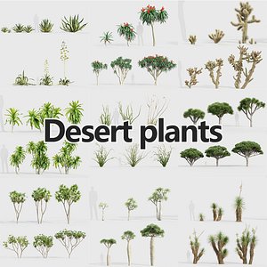 Tropical Desert Plant Collection 3D model 3D model