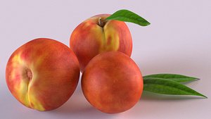 peach fruit food nectarine 3D