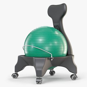 Gym Ball Office Chair