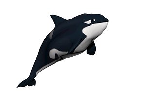 3D vr whale