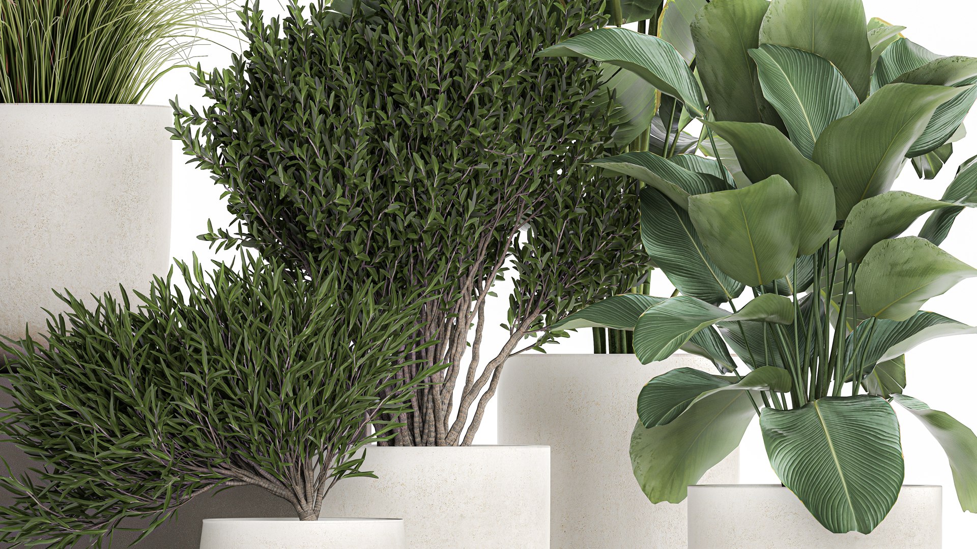 3D Plants in a white flowerpot for the interior 1095 https://p.turbosquid.com/ts-thumb/F6/fHlaj7/JI/1plants0801202205/jpg/1641828688/1920x1080/fit_q87/d1abe8fd82b19a2c352f5d62a185635af2001cdd/1plants0801202205.jpg