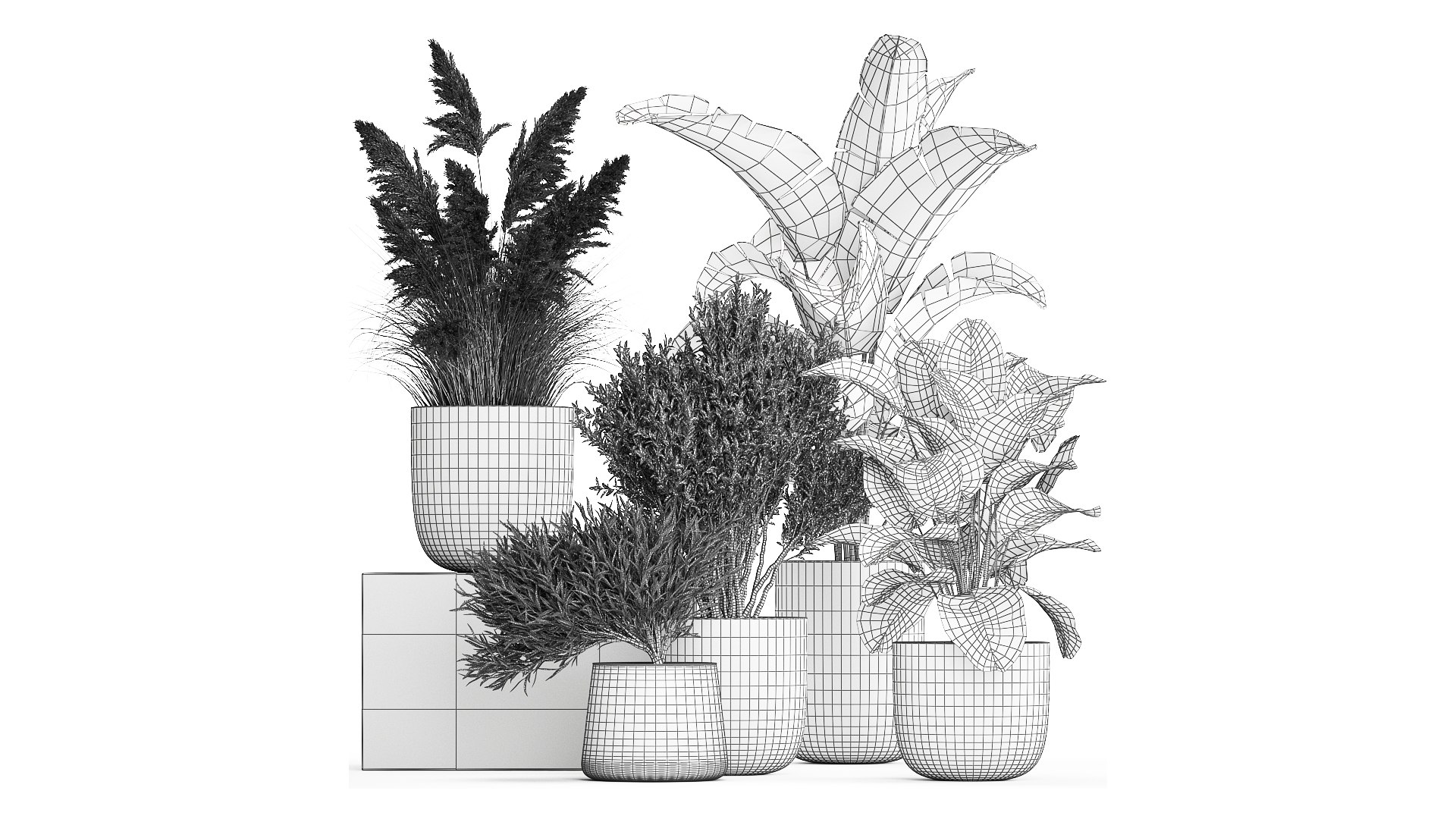 3D Plants in a white flowerpot for the interior 1095 https://p.turbosquid.com/ts-thumb/F6/fHlaj7/WX/1plants0801202209/jpg/1641828679/1920x1080/fit_q87/db14ce660b8d3bd8ba01ea20994cbdcb404aa219/1plants0801202209.jpg