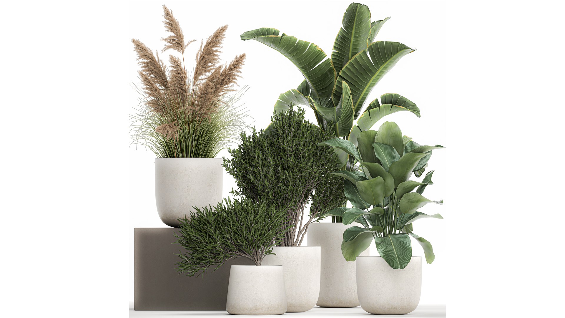 3D Plants in a white flowerpot for the interior 1095 https://p.turbosquid.com/ts-thumb/F6/fHlaj7/Xb/1plants0801202203/jpg/1641828680/1920x1080/fit_q87/196ee8fc9fecc142a0c5311741a508344bb4bb8a/1plants0801202203.jpg