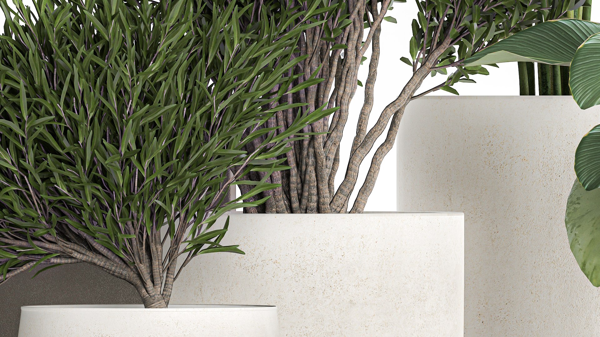 3D Plants in a white flowerpot for the interior 1095 https://p.turbosquid.com/ts-thumb/F6/fHlaj7/eZ/1plants0801202207/jpg/1641828689/1920x1080/fit_q87/86f7b4a9bf9c6151c5b217077e79e5614b30c375/1plants0801202207.jpg