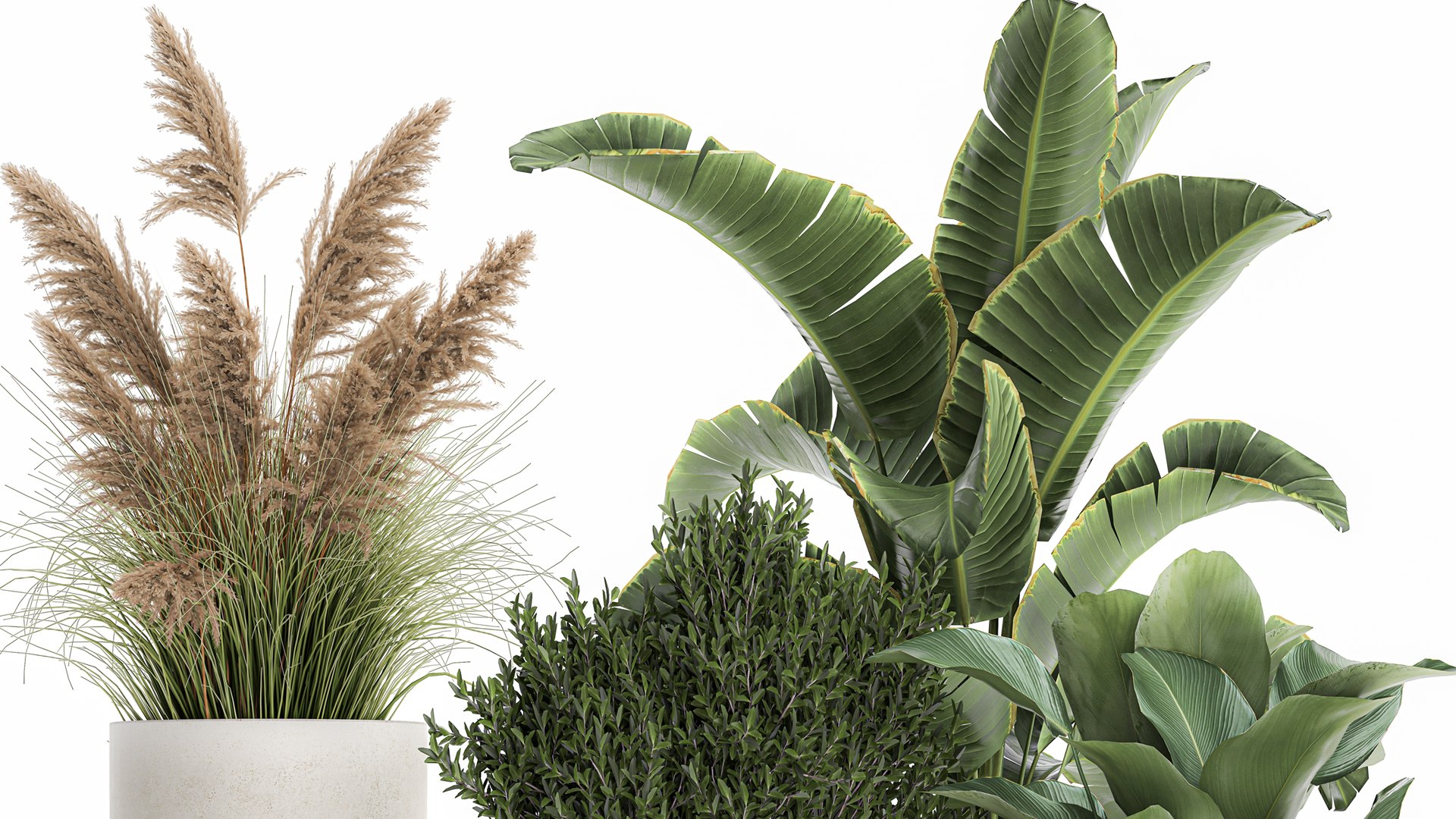 3D Plants in a white flowerpot for the interior 1095 https://p.turbosquid.com/ts-thumb/F6/fHlaj7/om/1plants0801202204/jpg/1641828683/1920x1080/fit_q87/c32b870208b6f427e41f4df87c31f566cc6e81dd/1plants0801202204.jpg