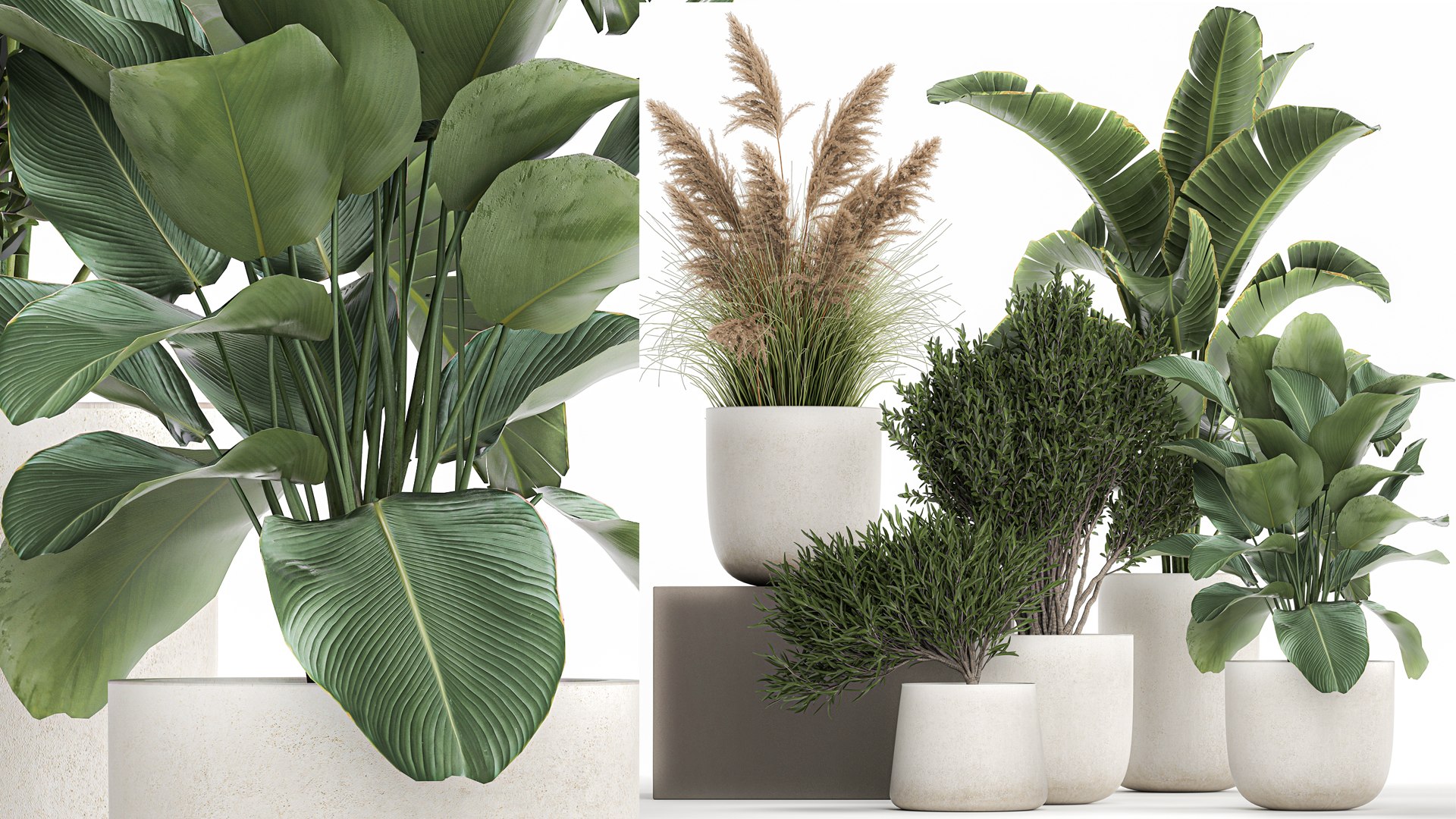 3D Plants in a white flowerpot for the interior 1095 https://p.turbosquid.com/ts-thumb/F6/fHlaj7/qr/1plants0801202202/jpg/1641828680/1920x1080/fit_q87/b6f87a50dbce261454091e35f8ce4c9f73823c30/1plants0801202202.jpg