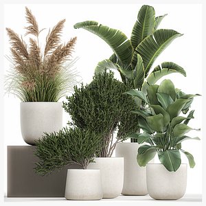 3D Plants in a white flowerpot for the interior 1095