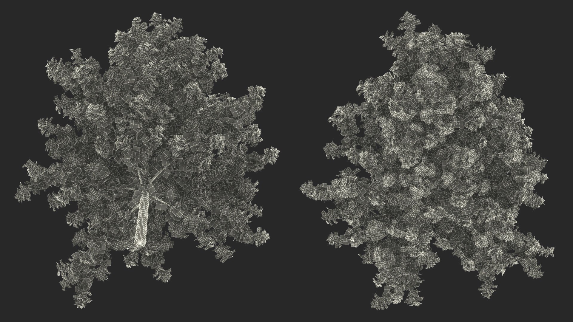 3D Autumn Yellow Poplar Tree Model - TurboSquid 2212259