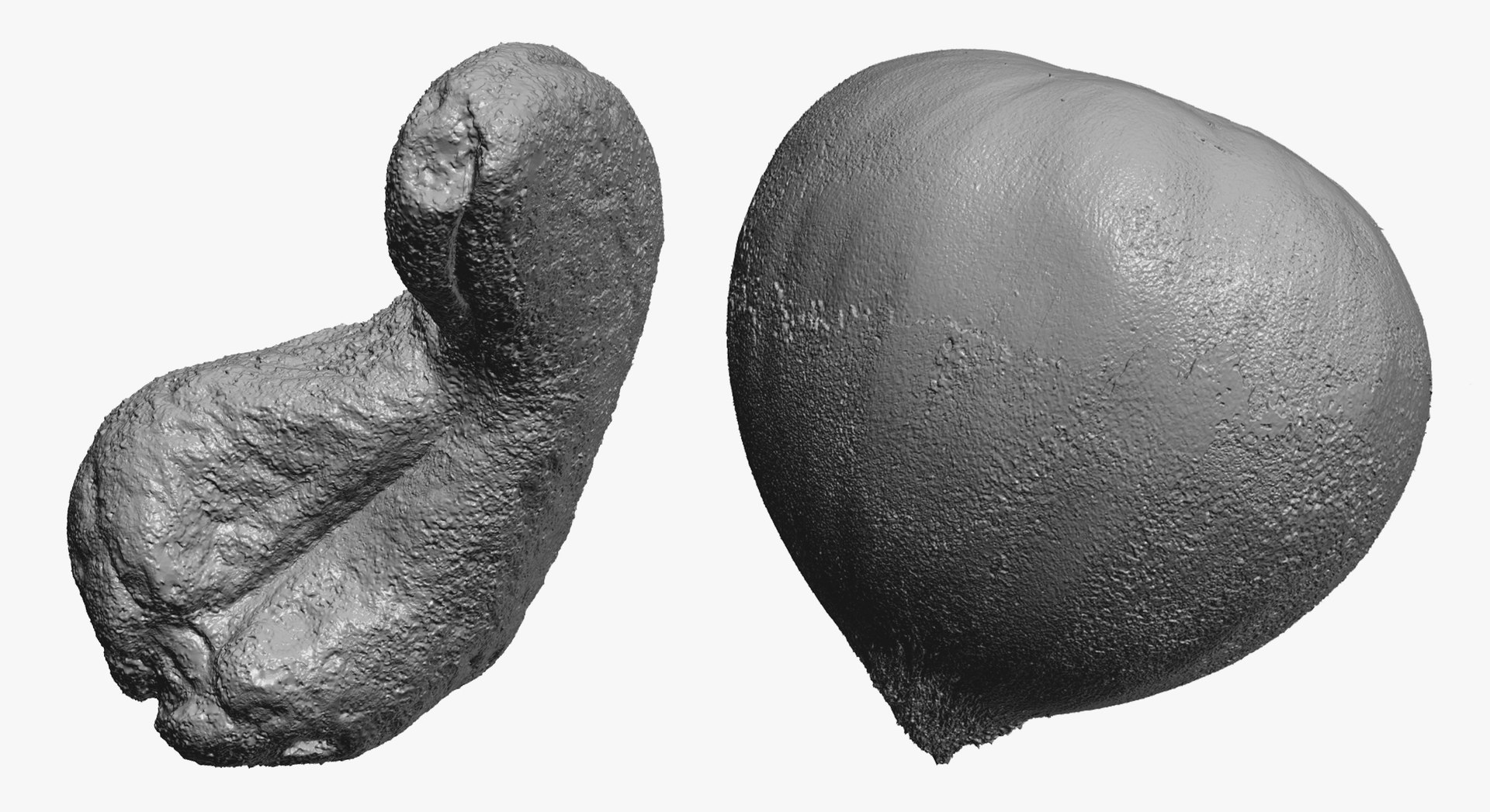 3D Cashew Nut and Edible Chestnut Collection 01 - 2 models RAW Scans model https://p.turbosquid.com/ts-thumb/F6/v0IuaT/6w/z6/jpg/1650526706/1920x1080/fit_q87/606d47eb2eace8290bb7b65495a2888ee484433f/z6.jpg