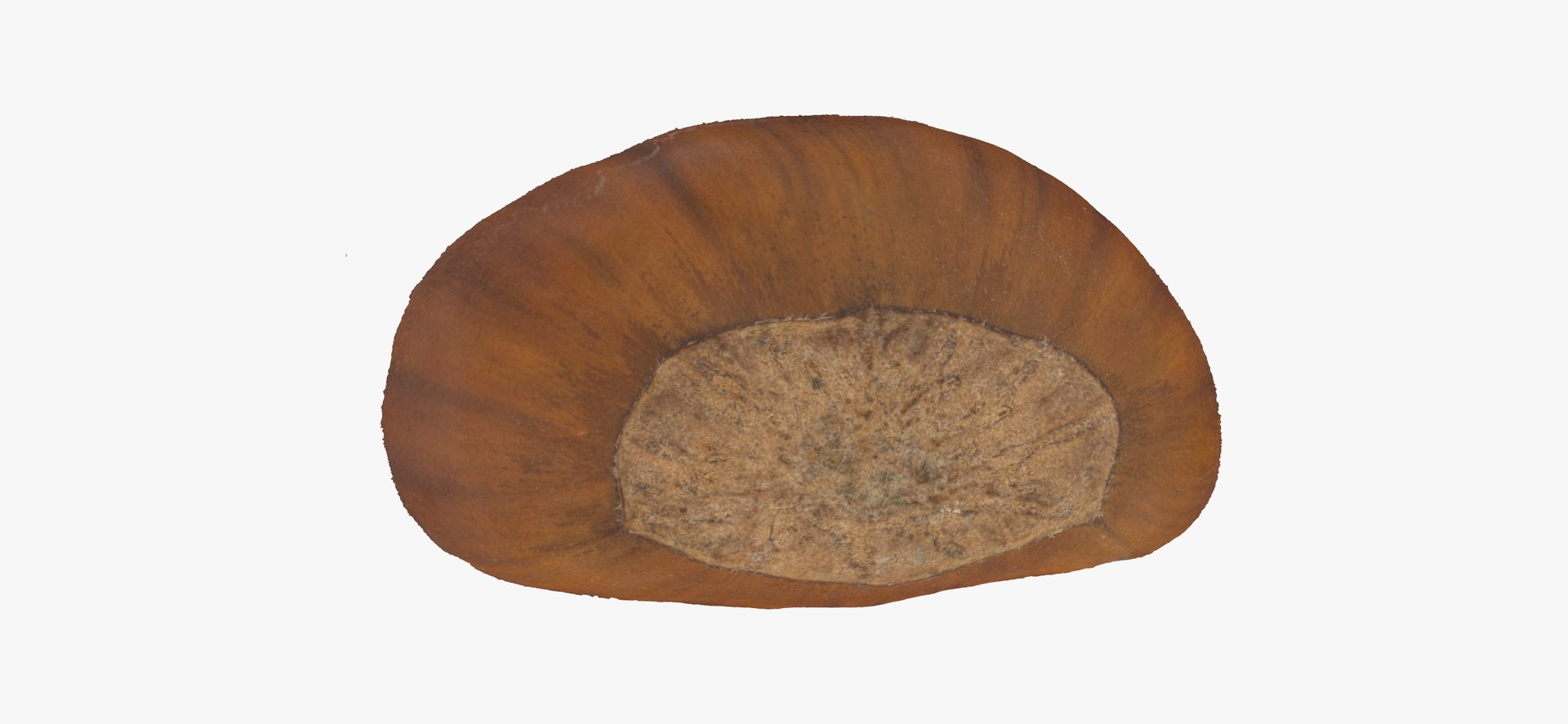 3D Cashew Nut and Edible Chestnut Collection 01 - 2 models RAW Scans model https://p.turbosquid.com/ts-thumb/F6/v0IuaT/j8/edible_chestnut_01_thumbnail_07/jpg/1650527207/1920x1080/fit_q87/afbebeaa6920658cba7c8ee2b636c7efe0bf916e/edible_chestnut_01_thumbnail_07.jpg