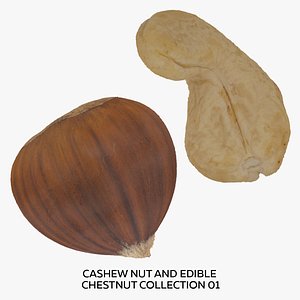 3D Cashew Nut and Edible Chestnut Collection 01 - 2 models RAW Scans model