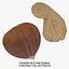 Cashew Nut and Edible Chestnut Collection 01 - 2 models RAW Scans