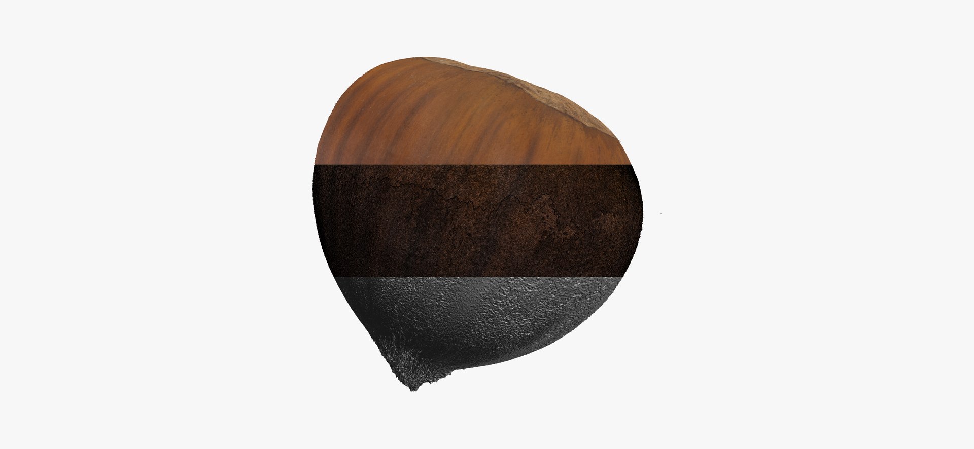 3D Cashew Nut and Edible Chestnut Collection 01 - 2 models RAW Scans model https://p.turbosquid.com/ts-thumb/F6/v0IuaT/wW/edible_chestnut_01_thumbnail_06/jpg/1650527306/1920x1080/fit_q87/ba4519e21159754c1394492c5ae2f25df1baeb77/edible_chestnut_01_thumbnail_06.jpg