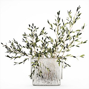 Bouquet in a glass vase of olive branches 509 3D