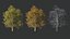 Generic Trees