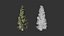 Generic Trees