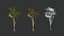 Generic Trees
