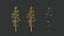 Generic Trees