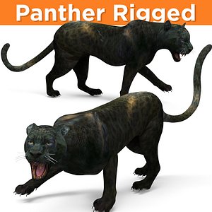 Black Panther Rigged
