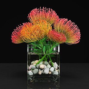 3D plant 13 model
