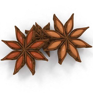anise aniseed spice 3D model