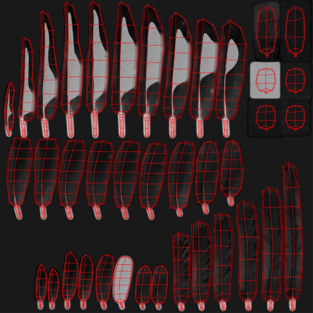 maya pica hudsonia black-billed magpie https://p.turbosquid.com/ts-thumb/F7/Jl45vO/TM6xbblw/feathers_uv/jpg/1433998501/1920x1080/fit_q87/c4d6d68a28e3d0fb7b75ce7c23f328334917408a/feathers_uv.jpg