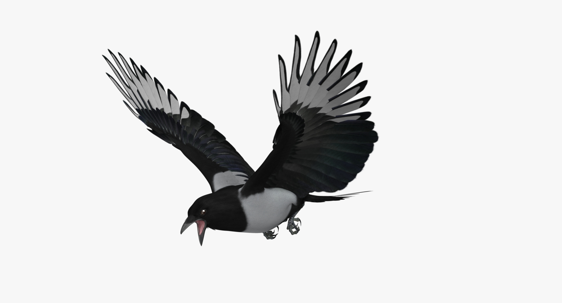 maya pica hudsonia black-billed magpie https://p.turbosquid.com/ts-thumb/F7/Jl45vO/VYHX5O5A/blackbilledmagpie_rot/jpg/1433991184/1920x1080/turn_fit_q99/5d5866bae1defb502a36ef6ba7c1f3b8d07a542f/blackbilledmagpie_rot-1.jpg