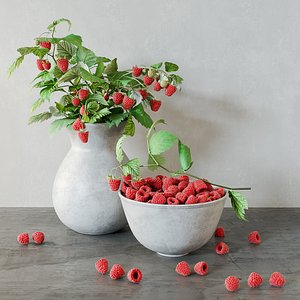 3D raspberries bouquet