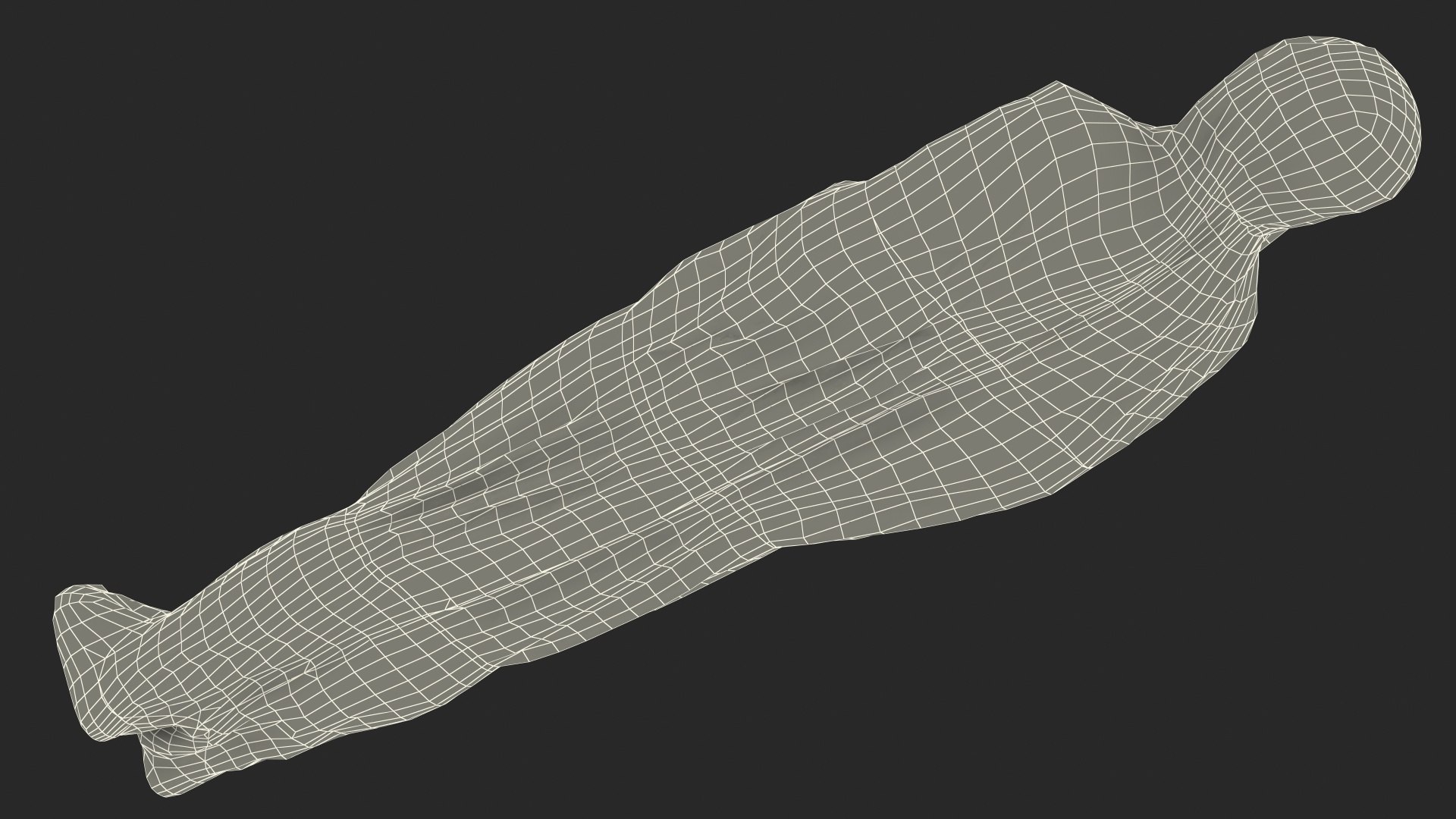 Covered Dead Bodies Collection model https://p.turbosquid.com/ts-thumb/F7/Ssu9pB/D6/covered_dead_bodies_collection_021/jpg/1769028557/1920x1080/fit_q87/6b3876f469778cdb4bc279ff592474239128c689/covered_dead_bodies_collection_021.jpg