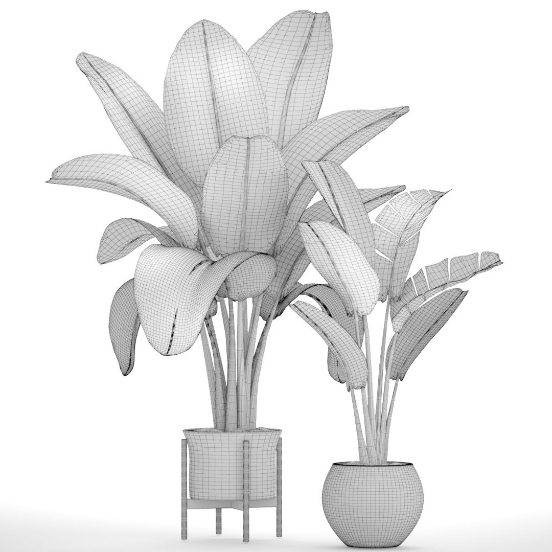 ravenala palm model https://p.turbosquid.com/ts-thumb/F8/LC8IID/AU9U2HNZ/2ravenalamadagascariensis09/jpg/1502483485/1920x1080/fit_q87/ed8a7dc09695476ecc98d92d1be9f911c9c0171c/2ravenalamadagascariensis09.jpg