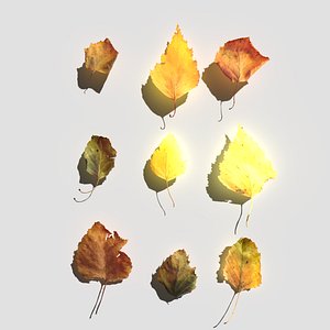 3D dry birch leaves pack model