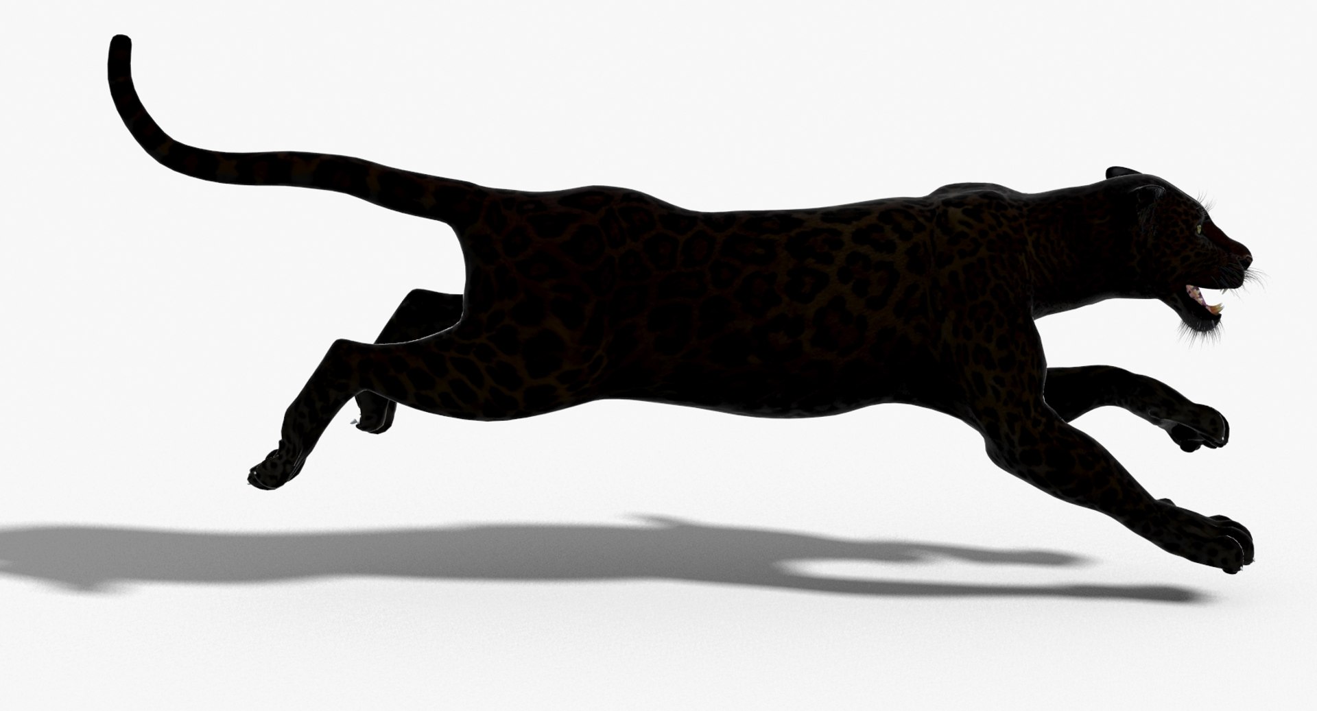 3d panther leopard cat animation https://p.turbosquid.com/ts-thumb/F8/g2a2Mj/9KsVPLzb/panther3dmodelanimated07/jpg/1433086228/1920x1080/fit_q87/a1339ede1edfa60a19aadc92515589872a3de0af/panther3dmodelanimated07.jpg