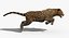 3d panther leopard cat animation
