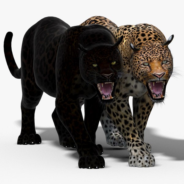 Modelo 3d PAQUETE Leopardo Y Pantera (Piel Rigged)