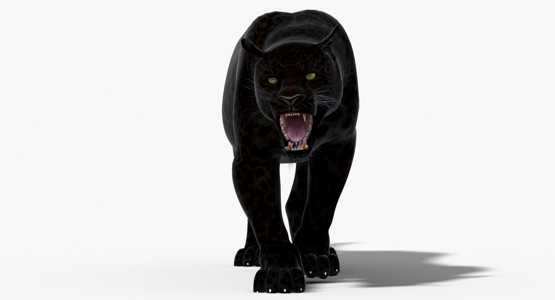 3d panther leopard cat animation https://p.turbosquid.com/ts-thumb/F8/g2a2Mj/I7bs0gv4/panther3dmodelanimated05/jpg/1433086228/1920x1080/fit_q87/56b67dd4401ada9e0c2856efd419d3cbe8bbf2ec/panther3dmodelanimated05.jpg