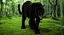 3d panther leopard cat animation