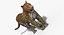 3d panther leopard cat animation