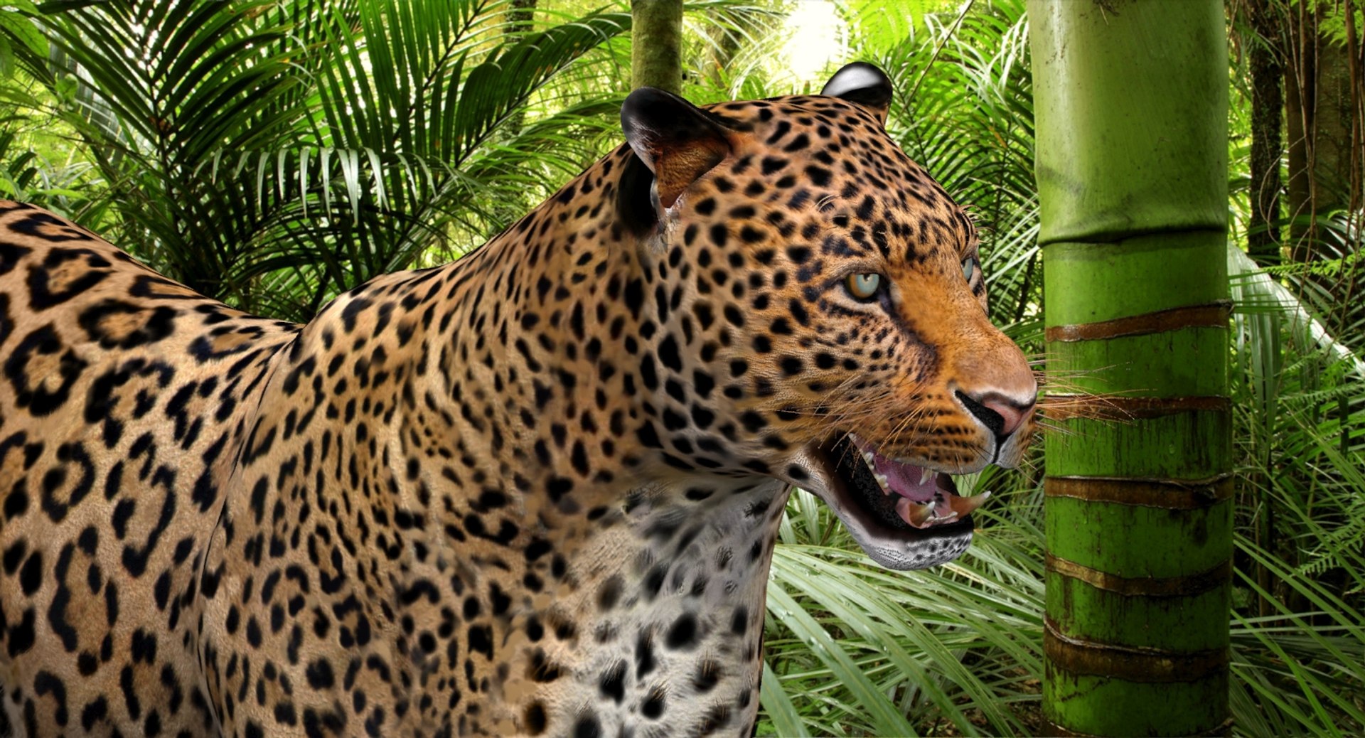 3d panther leopard cat animation https://p.turbosquid.com/ts-thumb/F8/g2a2Mj/kpg41Zdb/leopard3dmodelanimated13/jpg/1433086223/1920x1080/fit_q87/e8bcfcc2ac8514a3a262e984dc61a1109118a7e2/leopard3dmodelanimated13.jpg