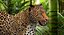 3d panther leopard cat animation