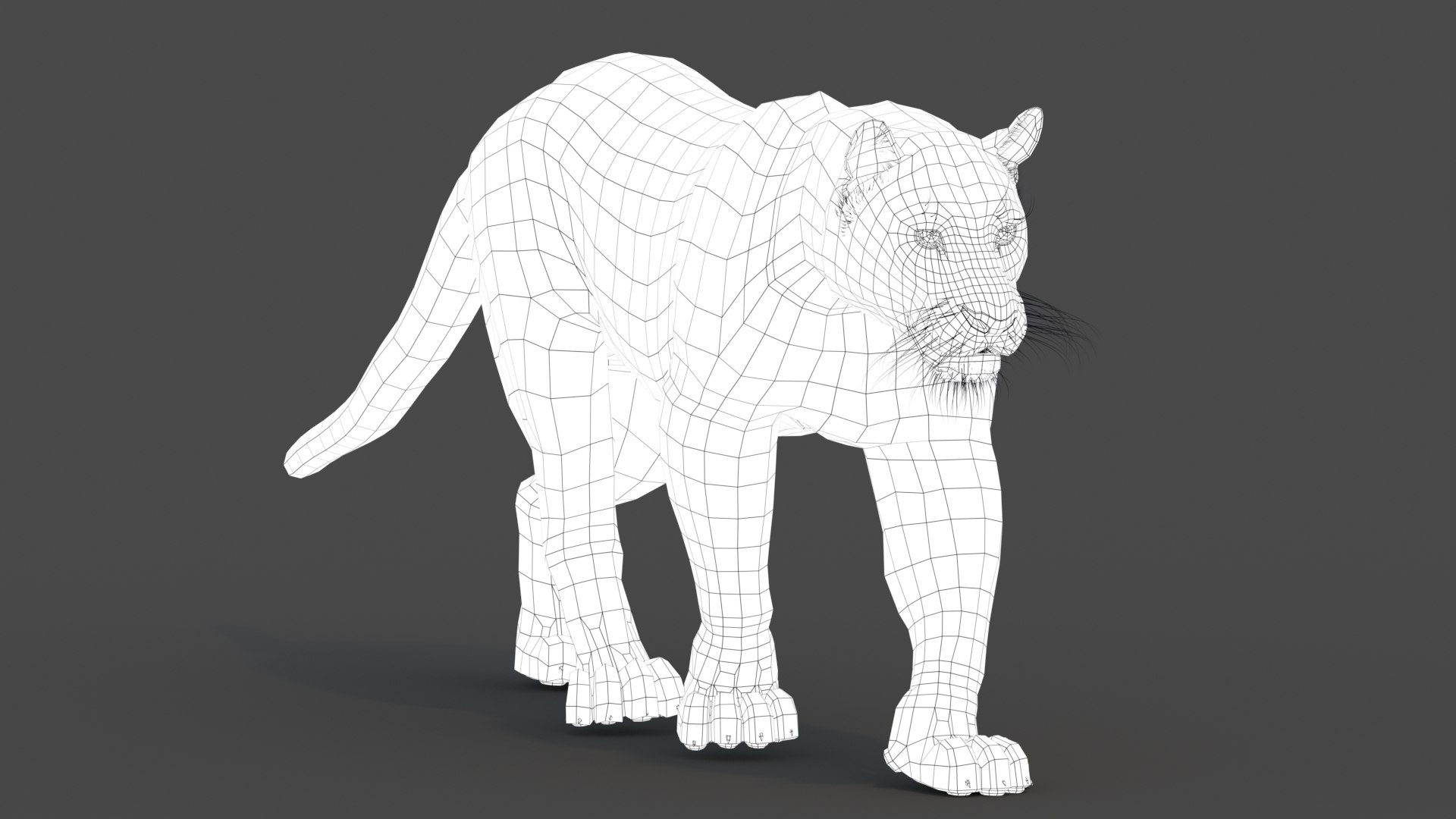 3d panther leopard cat animation https://p.turbosquid.com/ts-thumb/F8/g2a2Mj/kx/blackpanther3dmodelanimatedwireframe01/jpg/1690030984/1920x1080/fit_q87/6513de88ec3bd5dab31bf85f4477d09a8940dfb8/blackpanther3dmodelanimatedwireframe01.jpg