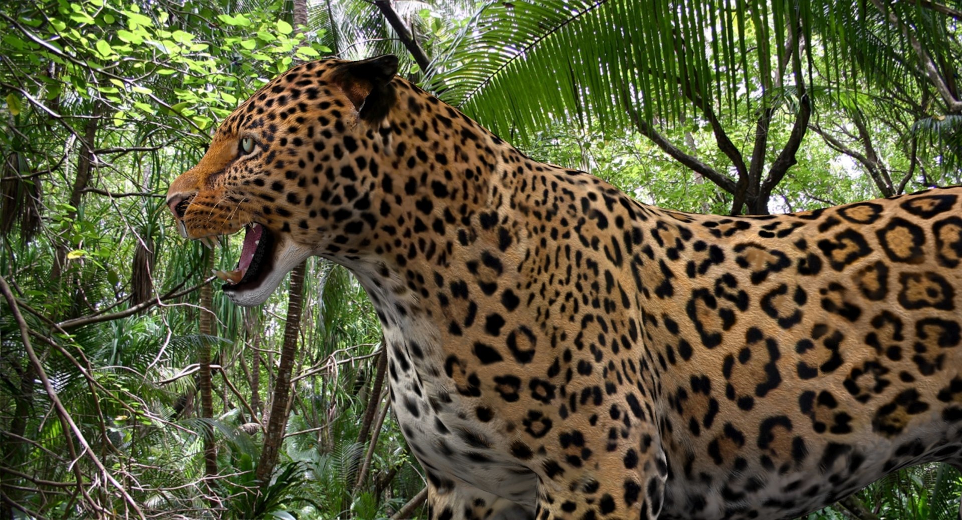 3d panther leopard cat animation https://p.turbosquid.com/ts-thumb/F8/g2a2Mj/nMC1G9oj/leopard3dmodelanimated11/jpg/1433086223/1920x1080/fit_q87/b2d53d6161b7496ee399db37e78b8eaeb62aa126/leopard3dmodelanimated11.jpg