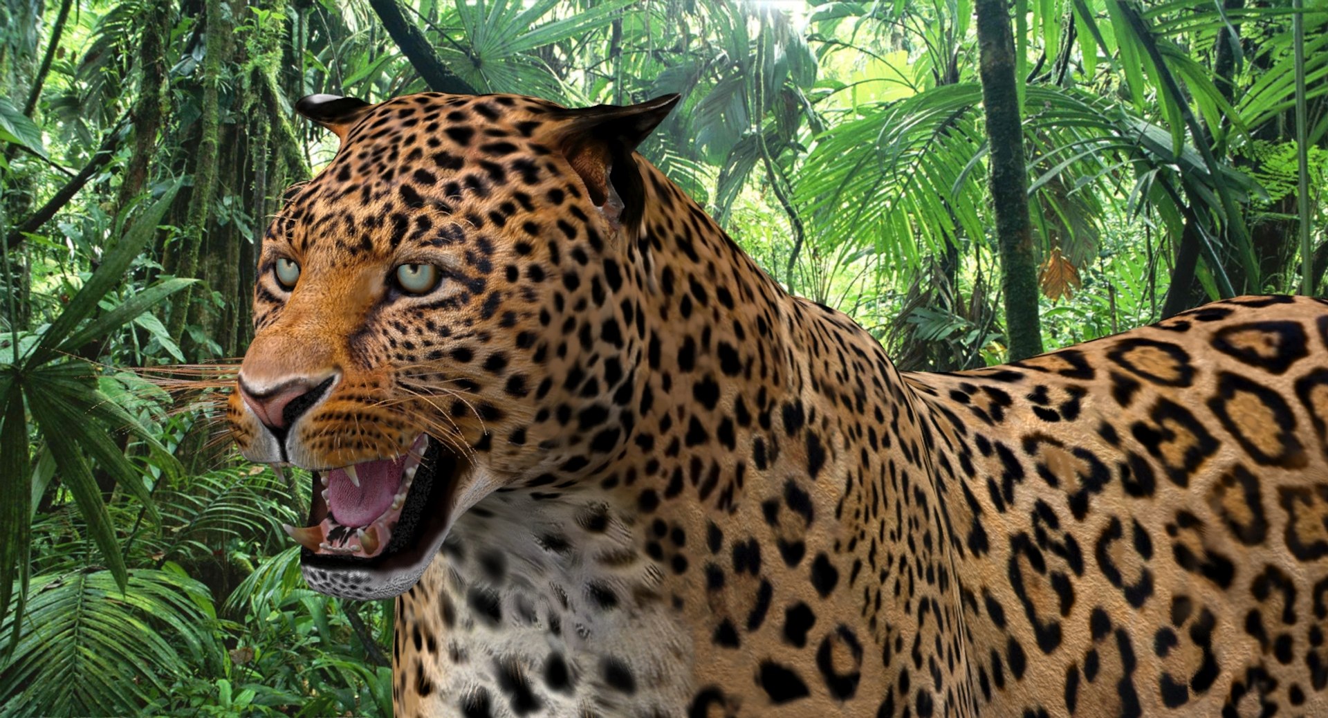 3d panther leopard cat animation https://p.turbosquid.com/ts-thumb/F8/g2a2Mj/nwBPVDPz/leopard3dmodelanimated12/jpg/1433086223/1920x1080/fit_q87/93ed70effd1cc06dfaf8c0a9f3877c89a35b0277/leopard3dmodelanimated12.jpg