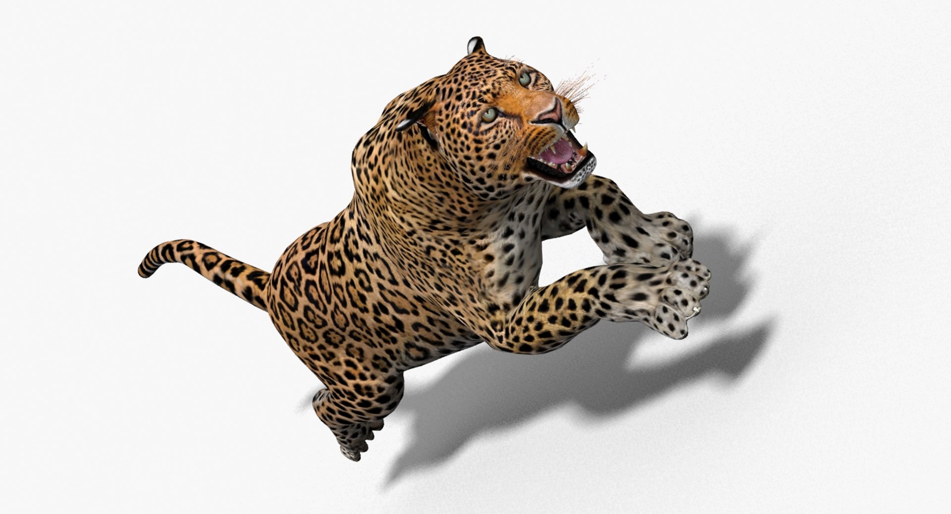 3d panther leopard cat animation https://p.turbosquid.com/ts-thumb/F8/g2a2Mj/uq3JogpP/leopard3dmodelanimated06/jpg/1433086223/1920x1080/fit_q87/82e5941715b6e1407f10917e8d1bc0fd7a9975d3/leopard3dmodelanimated06.jpg